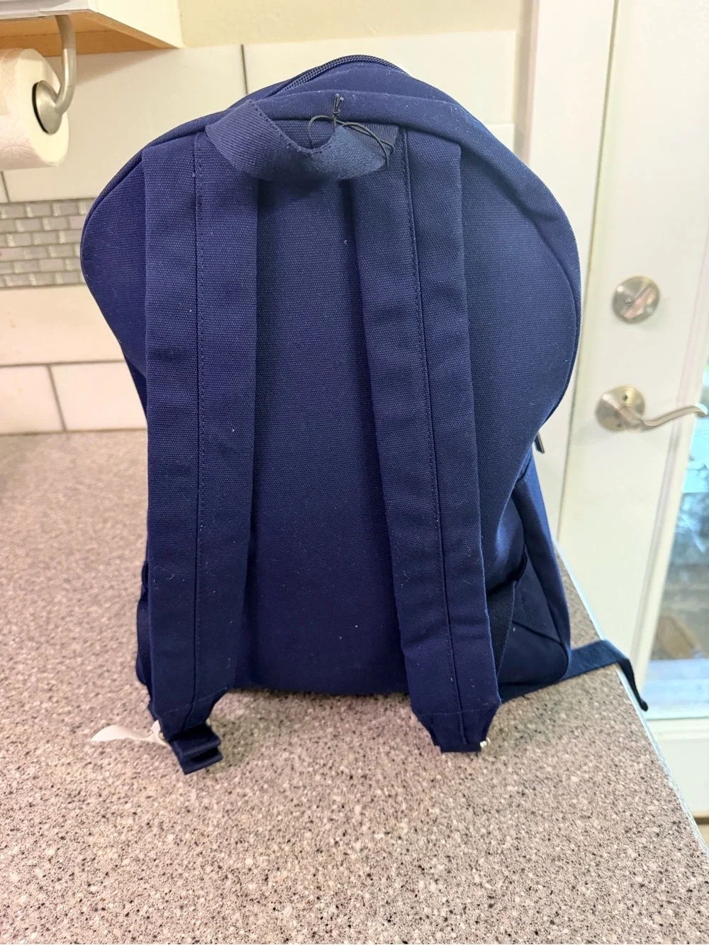 Polo by Ralph Lauren Navy Canvas Backpack with Multicolor POLO Patch